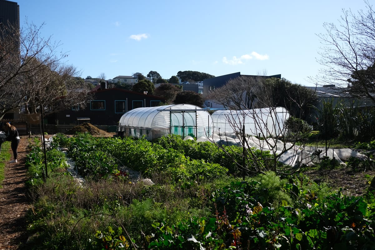 Meet Kaicycle – the farm hidden in the centre of Wellington.