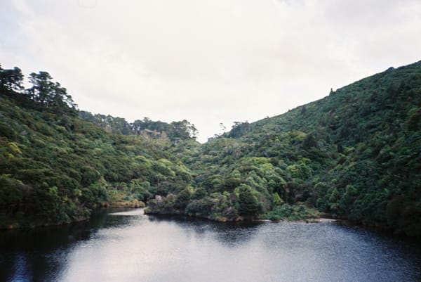 Reflecting on 2025 and the coming election