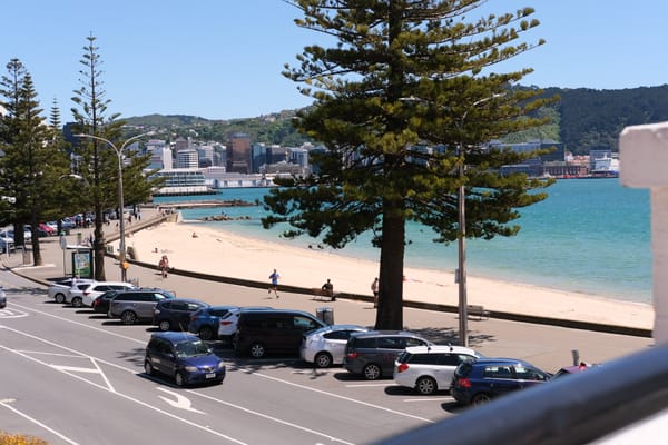 LGOIMA: Wellington City Council Parking Capacity